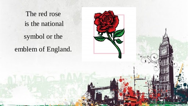 The red rose   is the national symbol or the emblem of England. 