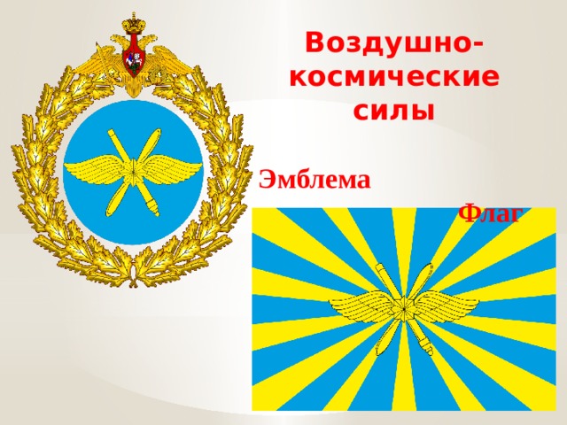 Воздушно-космические силы   Эмблема Флаг 