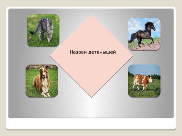 Назови детенышей 