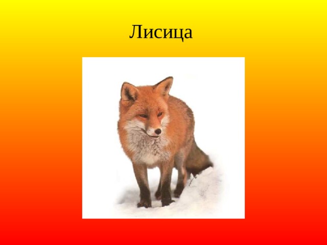 Лисица 