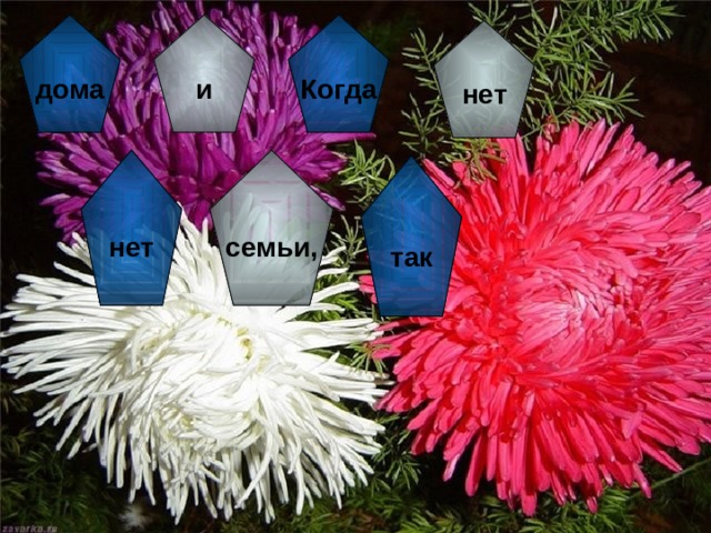 дома и Когда нет нет семьи, так Так  