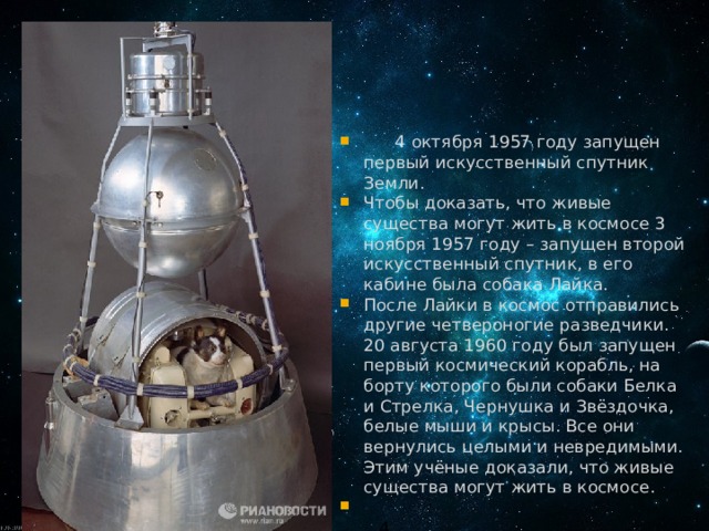  4 октября 1957 году запущен первый искусственный спутник Земли. Чтобы доказать, что живые существа могут жить в космосе 3 ноября 1957 году – запущен второй искусственный спутник, в его кабине была собака Лайка. После Лайки в космос отправились другие четвероногие разведчики. 20 августа 1960 году был запущен первый космический корабль, на борту которого были собаки Белка и Стрелка, Чернушка и Звёздочка, белые мыши и крысы. Все они вернулись целыми и невредимыми. Этим учёные доказали, что живые существа могут жить в космосе.  4 