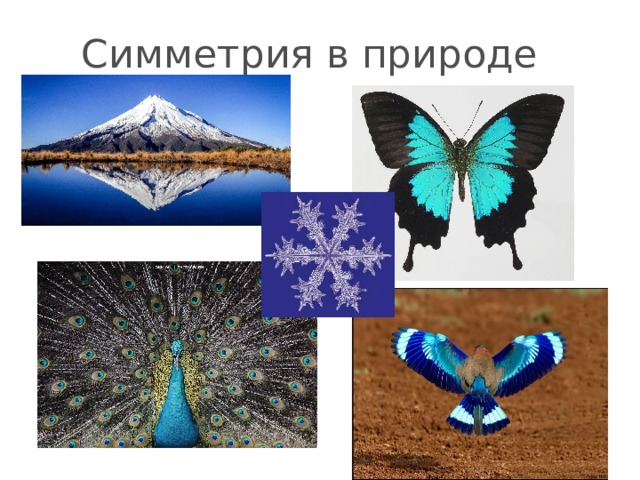 Симметрия в природе 