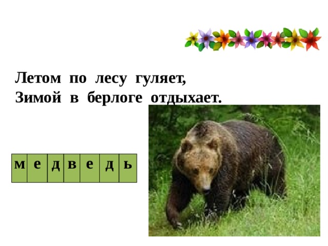 Летом по лесу гуляет,  Зимой в берлоге отдыхает. м е д в е д ь 