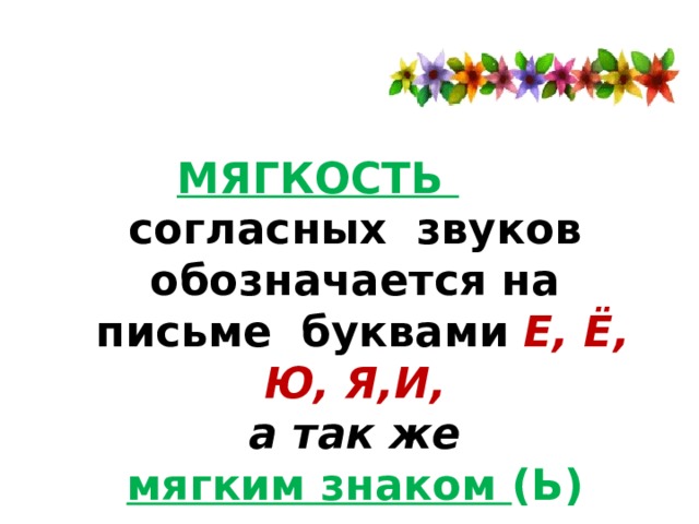 МЯГКОСТЬ согласных звуков обозначается на  письме буквами Е, Ё, Ю, Я,И, а так же мягким знаком (Ь) 