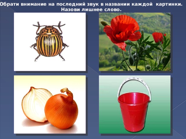  Обрати внимание на последний звук в названии каждой картинки.  Назови лишнее слово. 