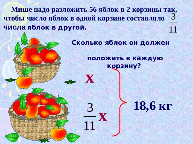  Мише надо разложить 56 яблок в 2 корзины так, чтобы  число яблок в одной корзине составляло  числа  яблок в другой.      Сколько яблок он должен положить в каждую корзину? х Г.В. Дорофеев, Л.Г. Петерсон, 5 класс (часть 2). № 599 (1) 18,6 кг х 15 