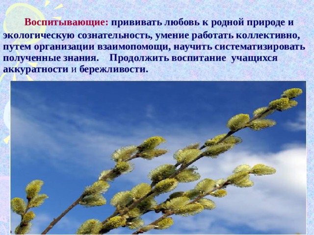  Воспитывающие: прививать любовь к родной природе и экологическую сознательность, умение работать коллективно, путем организации взаимопомощи, научить систематизировать полученные знания. Продолжить воспитание учащихся аккуратности и бережливости. 