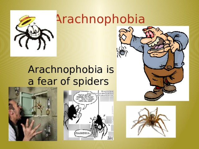 Arachnophobia Arachnophobia is a fear of spiders 7 
