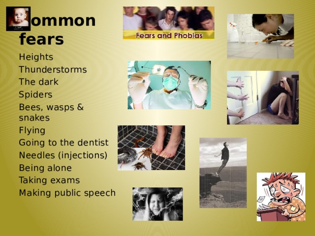 Common fears Heights Thunderstorms The dark Spiders Bees, wasps & snakes Flying Going to the dentist Needles (injections) Being alone Taking exams Making public speech  