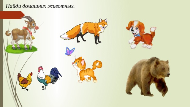 Найди домашних животных. 