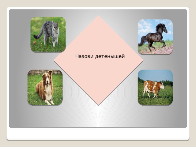 Назови детенышей 