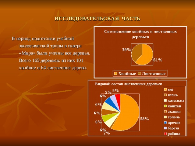ИССЛЕДОВАТЕЛЬСКАЯ ЧАСТЬ В период подготовки учебной экологической тропы в сквере «Мира» были учтены все деревья. Всего 165 деревьев: из них 101 хвойное и 64 лиственное дерево. 