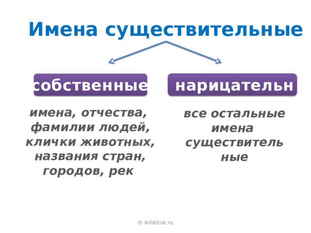 Имена существительные нарицательные собственные имена, отчества, фамилии людей, клички животных, названия стран, городов, рек все остальные имена существительные  © InfoUrok.ru 