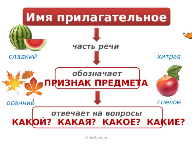 Имя прилагательное часть речи хитрая сладкий обозначает ПРИЗНАК ПРЕДМЕТА спелое осенние отвечает на вопросы КАКОЙ? КАКАЯ? КАКОЕ? КАКИЕ? © InfoUrok.ru 