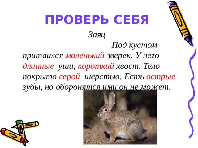 ПРОВЕРЬ СЕБЯ  Заяц  Под кустом притаился маленький  зверек. У него длинные  уши, короткий хвост. Тело покрыто серой  шерстью. Есть острые зубы, но оборонятся ими он не может.   