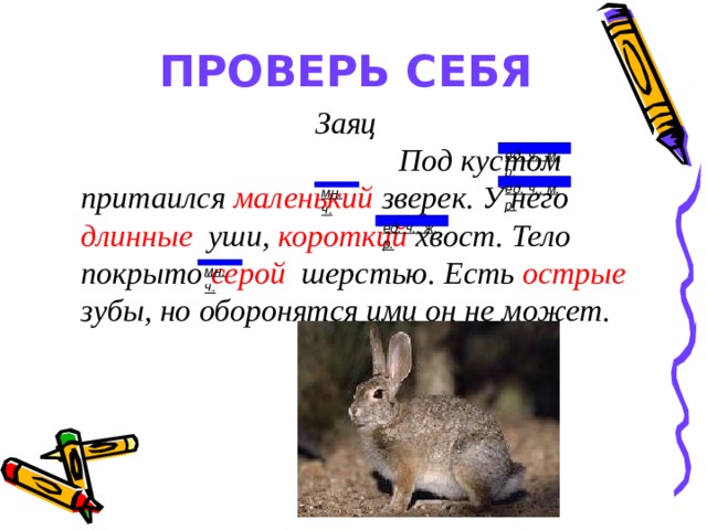 ПРОВЕРЬ СЕБЯ  Заяц  Под кустом притаился маленький  зверек. У него длинные  уши, короткий хвост. Тело покрыто серой  шерстью. Есть острые зубы, но оборонятся ими он не может.   ед. ч., м. р.  ед. ч., м. р.  мн. ч.  ед. ч., ж. р.  мн. ч.  