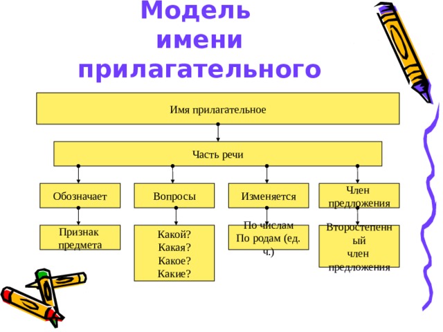 Модель  имени прилагательного Имя прилагательное Часть речи Обозначает Вопросы Изменяется Член предложения Какой? По числам Второстепенный Признак Какая? По родам (ед. ч.) член предмета Какое? предложения Какие? 