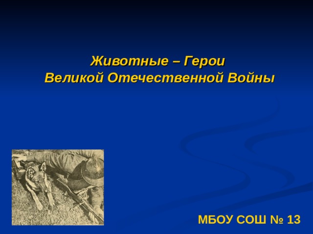 Животные – Герои  Великой Отечественной Войны МБОУ СОШ № 13 