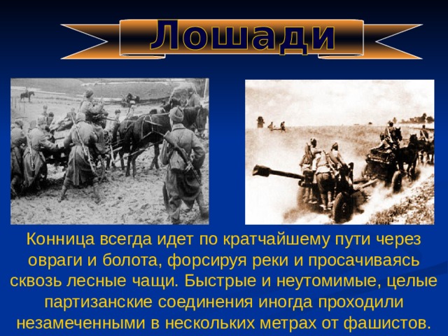 Конница всегда идет по кратчайшему пути через овраги и болота, форсируя реки и просачиваясь сквозь лесные чащи. Быстрые и неутомимые, целые партизанские соединения иногда проходили незамеченными в нескольких метрах от фашистов. 