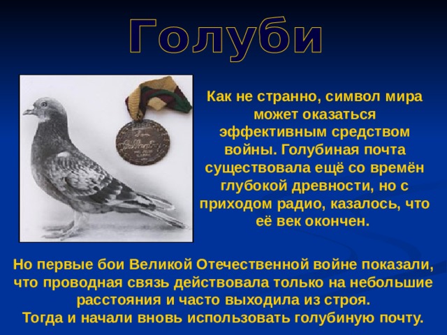 Как не странно, символ мира может оказаться эффективным средством войны. Голубиная почта существовала ещё со времён глубокой древности, но с приходом радио, казалось, что её век окончен. Но первые бои Великой Отечественной войне показали, что проводная связь действовала только на небольшие расстояния и часто выходила из строя.  Тогда и начали вновь использовать голубиную почту. 