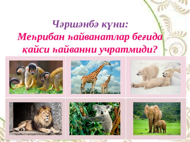 Чәршәнбә күни: Меһрибан һайванатлар беғида қайси һайванни учратмиди? 