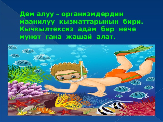 Дем алуу – организмдердин маанилүү кызматтарынын бири. Кычкылтексиз адам бир нече мүнөт гана жашай алат. 