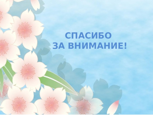 СПАСИБО ЗА ВНИМАНИЕ! 