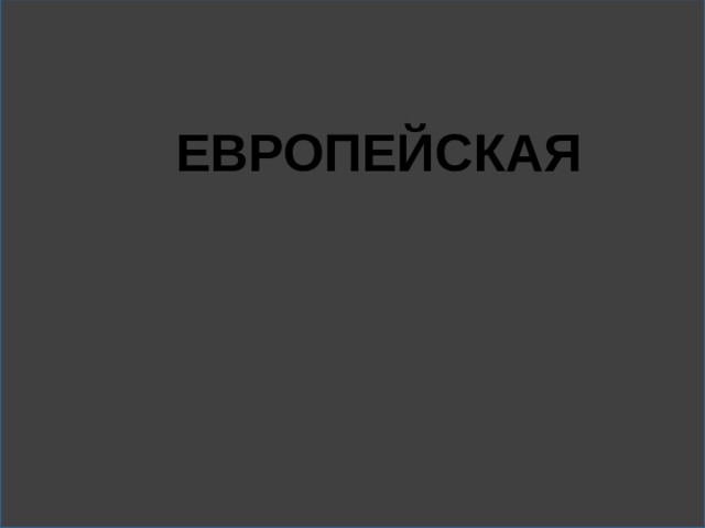 ЕВРОПЕЙСКАЯ 