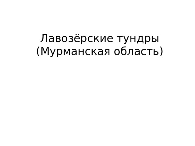 Лавозёрские тундры (Мурманская область) 