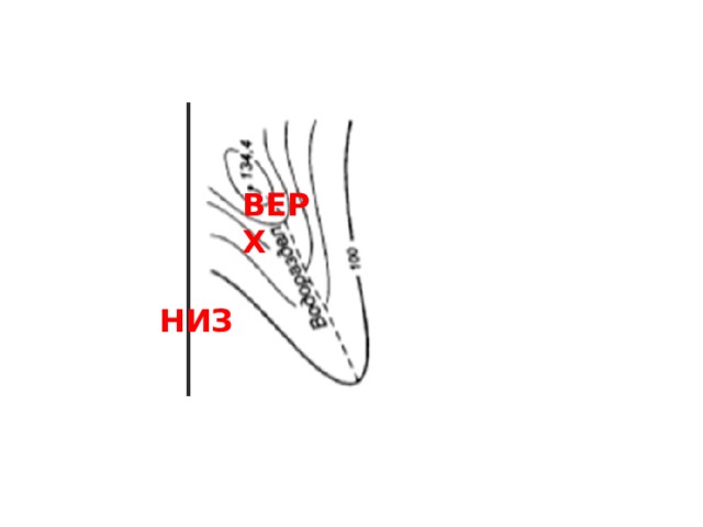 ВЕРХ НИЗ 