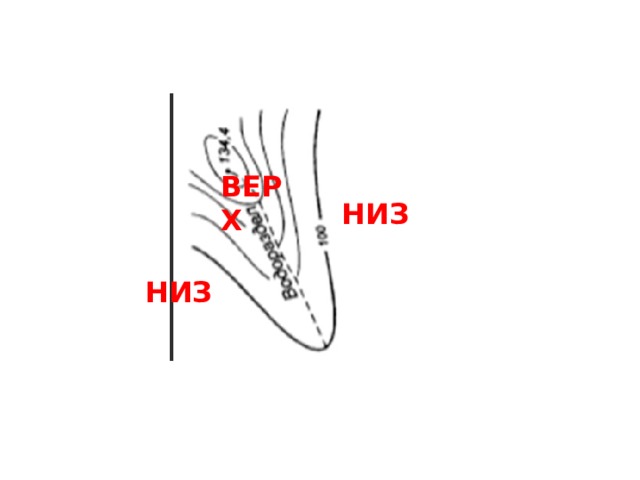 ВЕРХ НИЗ НИЗ 