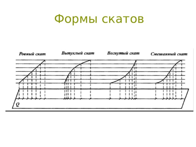 Формы скатов 