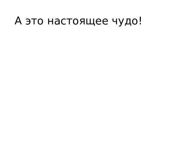 А это настоящее чудо! 