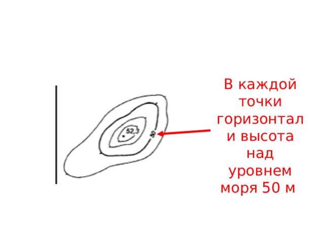 В каждой точки горизонтали высота над уровнем моря 50 м 