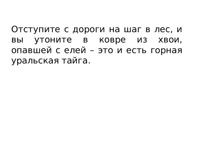 Отступите с дороги на шаг в лес, и вы утоните в ковре из хвои, опавшей с елей – это и есть горная уральская тайга. 