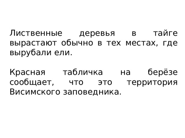 Лиственные деревья в тайге вырастают обычно в тех местах, где вырубали ели. Красная табличка на берёзе сообщает, что это территория Висимского заповедника. 