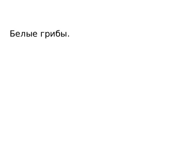 Белые грибы. 