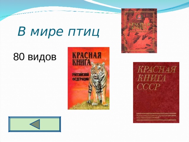  В мире птиц 5 0 80 видов  