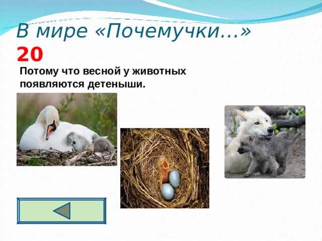 В мире «Почемучки…» 2 0 Потому что весной у животных появляются детеныши.   