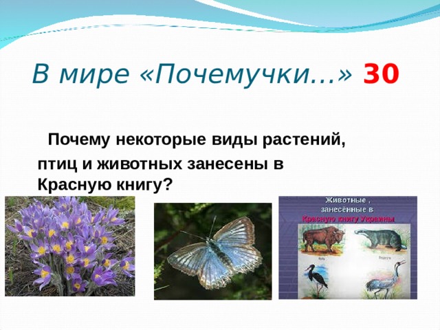  В мире «Почемучки…» 3 0  Почему некоторые виды растений, птиц и животных занесены в Красную книгу?   