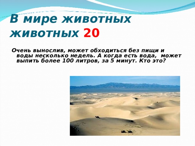 В мире животных животных  2 0 Очень вынослив, может обходиться без пищи и воды несколько недель. А когда есть вода, может выпить более 100 литров, за 5 минут. Кто это?   