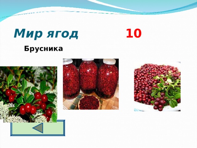  Мир ягод 10 Брусника  