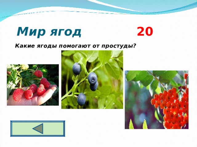  Мир ягод 2 0 Какие ягоды помогают от простуды?   