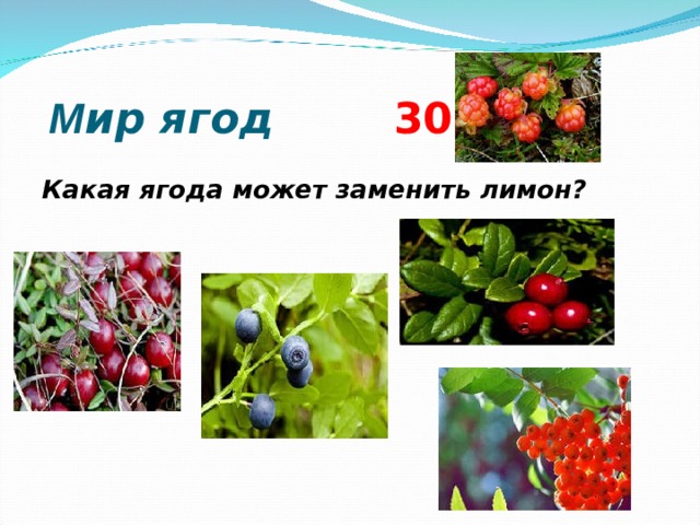  М ир ягод 3 0 Какая ягода может заменить лимон?  