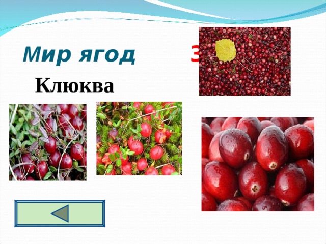  М ир ягод 3 0  Клюква  