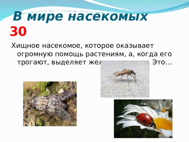  В мире насекомых  3 0 Хищное насекомое, которое оказывает огромную помощь растениям, а, когда его трогают, выделяет желтое молочко. Это…      