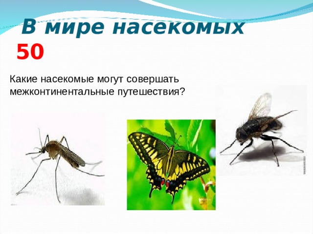  В мире насекомых  5 0 Какие насекомые могут совершать межконтинентальные путешествия?      