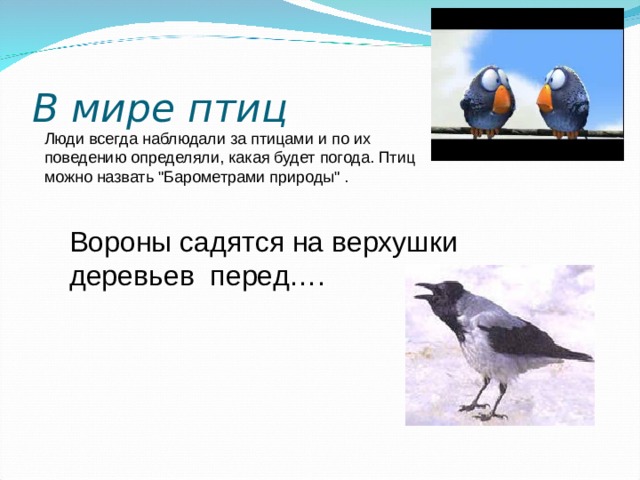 В мире птиц 4 0 Люди всегда наблюдали за птицами и по их поведению определяли, какая будет погода. Птиц можно назвать 