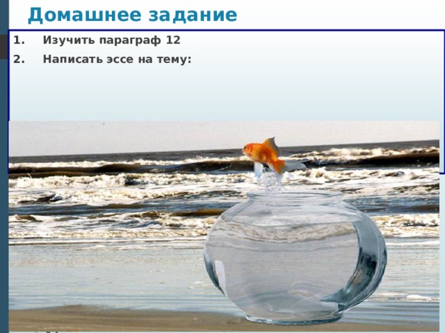 Домашнее задание Изучить параграф 12 Написать эссе на тему: 